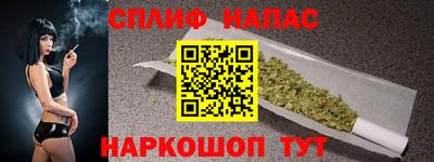 гашик Волжский