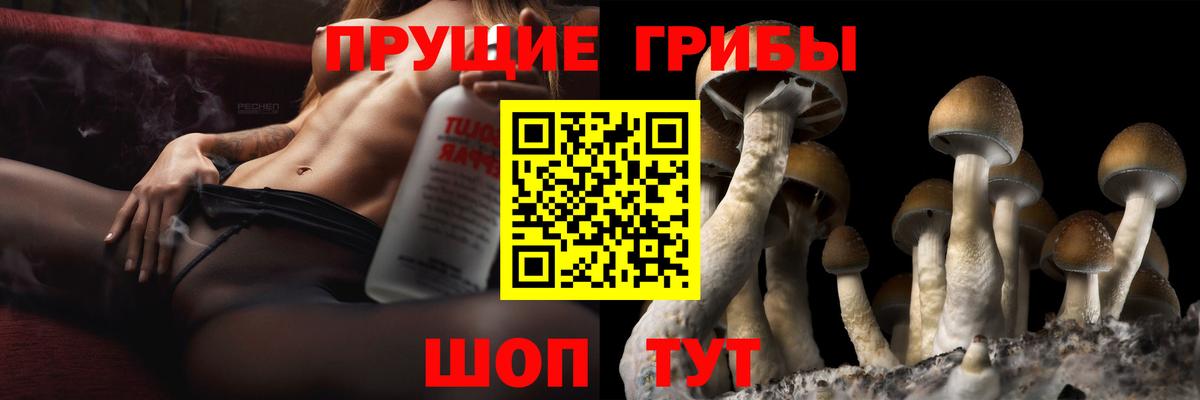 Псилоцибиновые грибы Psilocybine cubensis  Псилоцибиновые грибы Psilocybe  купить наркотик  Соликамск  Вход с VPN 